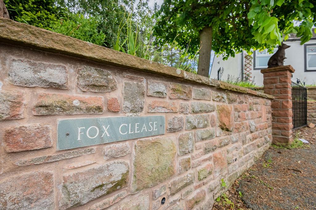 Fox Clease