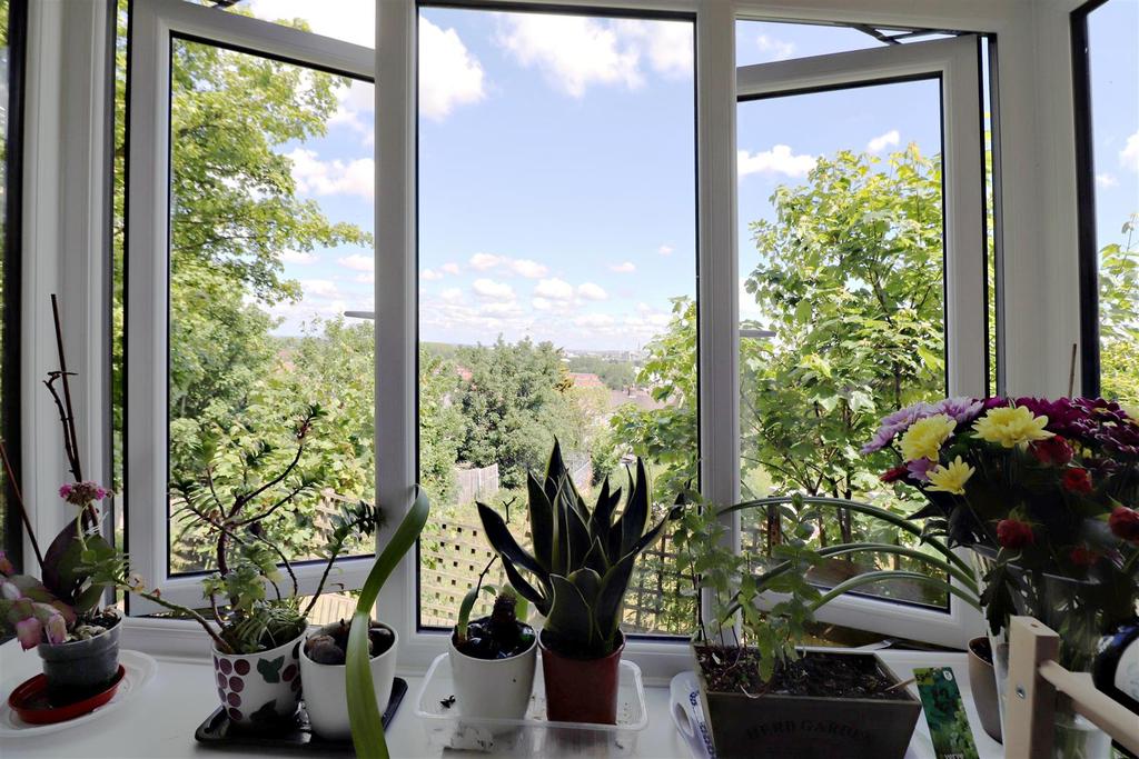 Bay Window