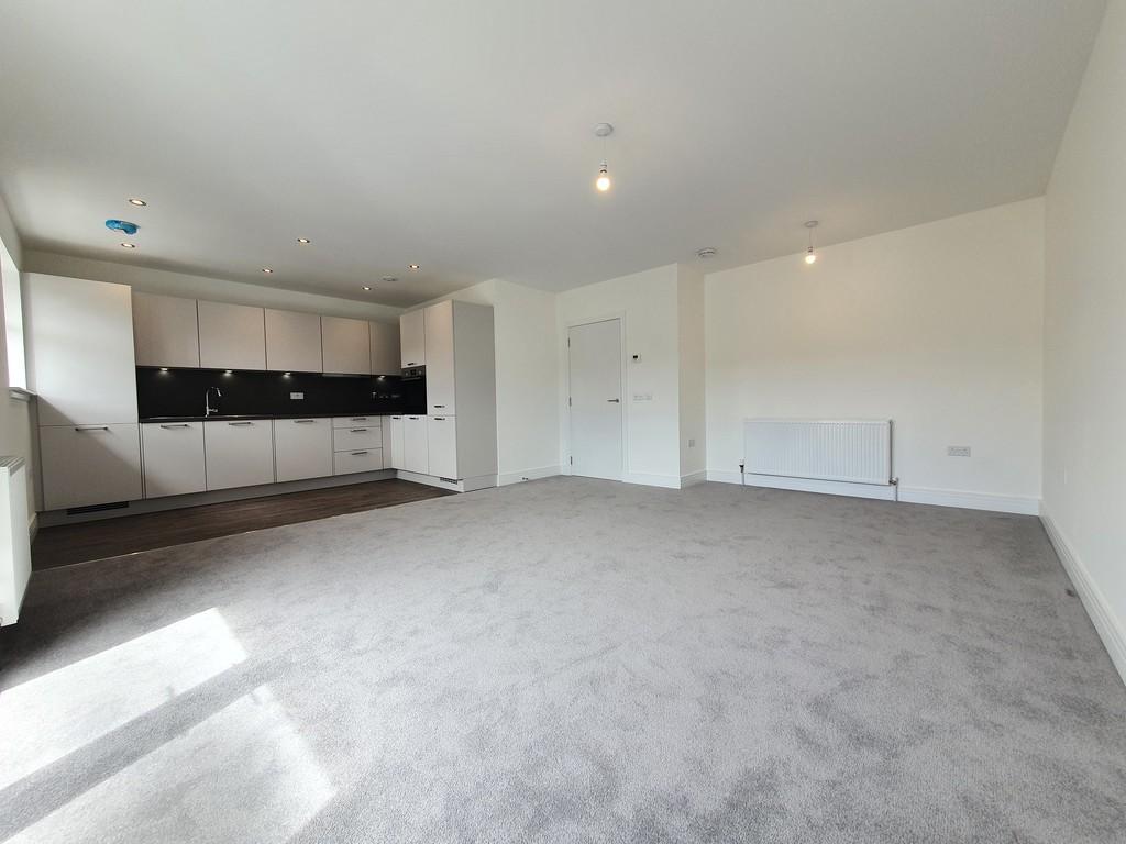 Living Room/Kitchen Open Concept