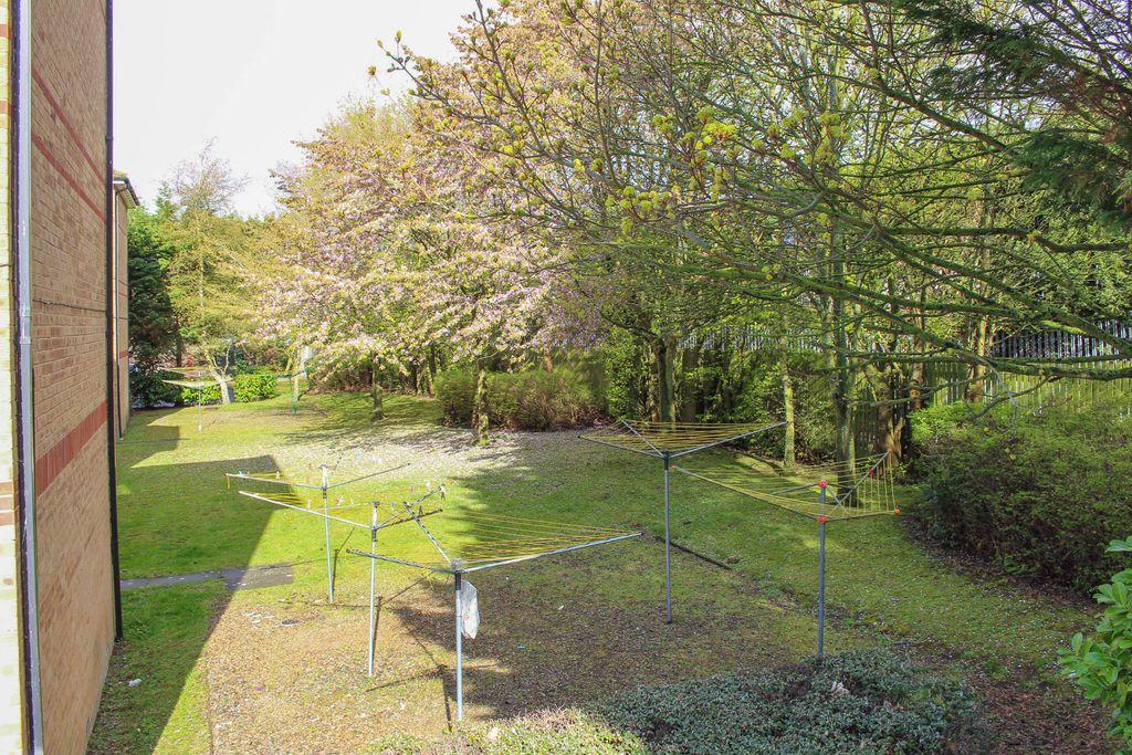 Garden at Back