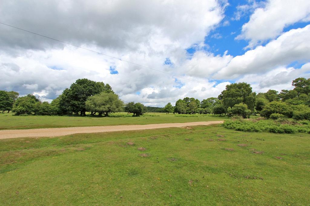 Balmer Lawn Road, Brockenhurst, Hampshire, SO42 4 bed detached house