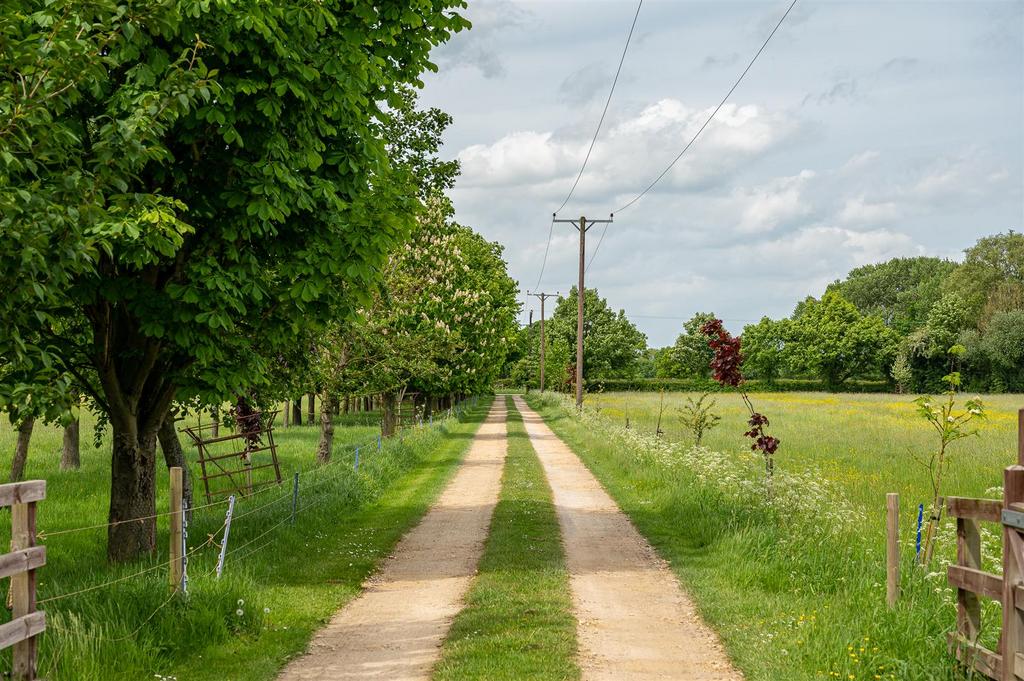 Driveway