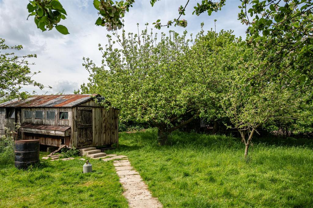 Orchard / Hen House