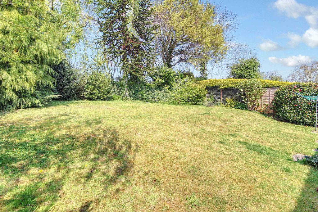 Garden at Back