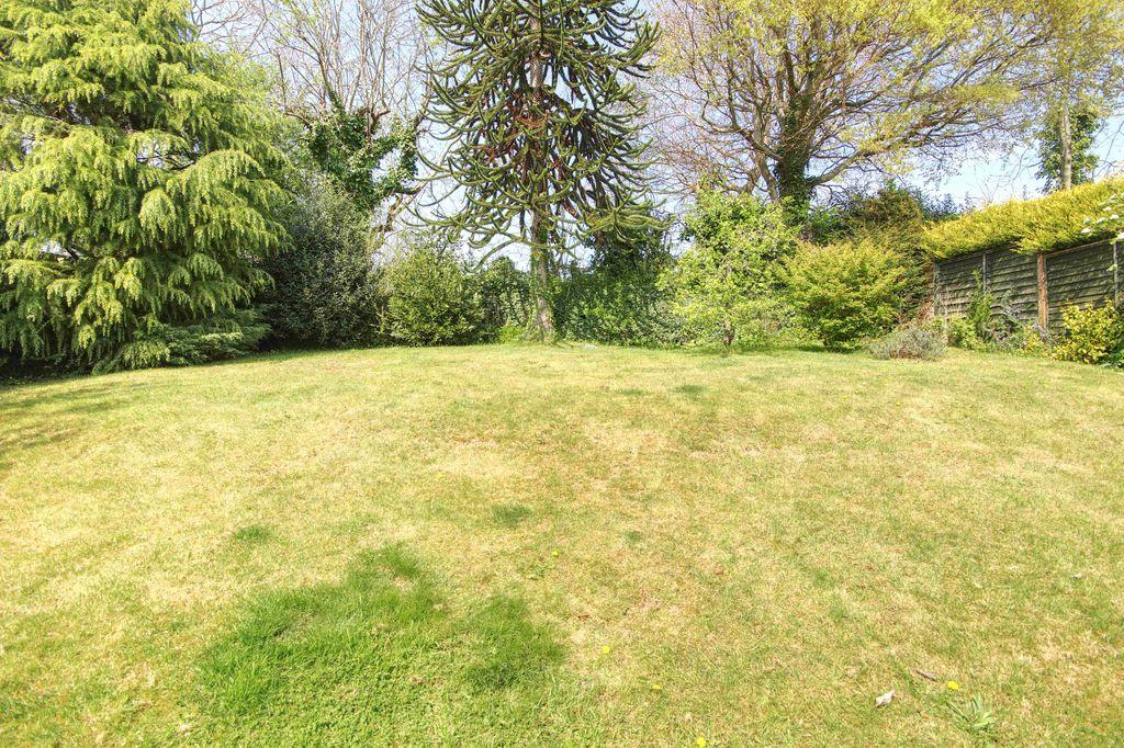 Garden at Back