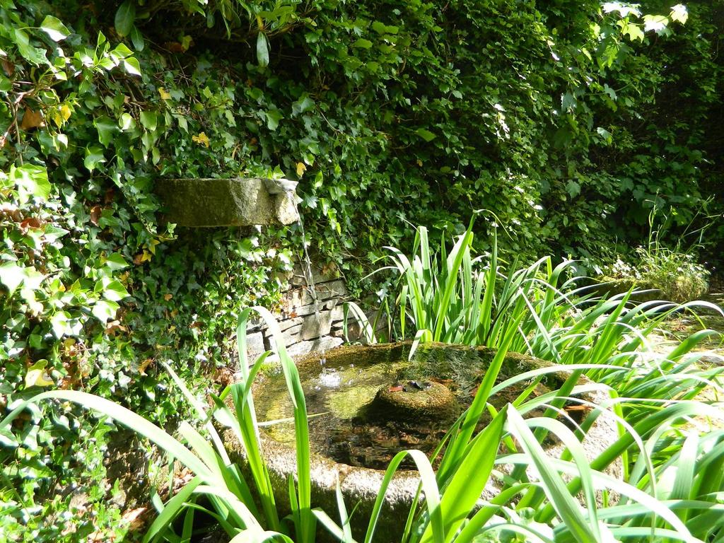 Dscn2445.jpg