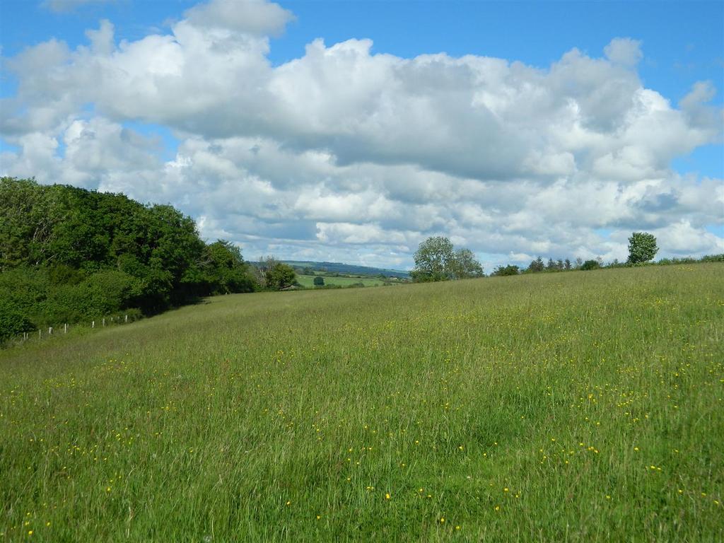 Dscn2506.jpg
