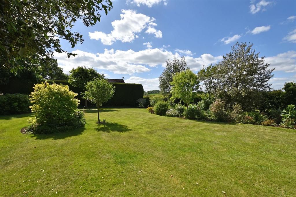 Rear Garden ii.JPG