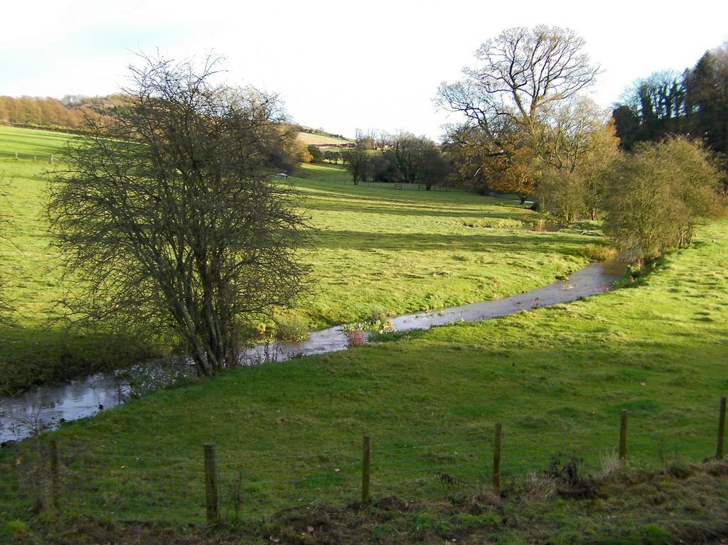 Early Spring To East