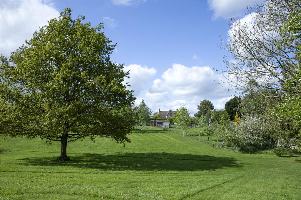 Paddock