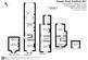 62977aa0eb86a-856272.jpg