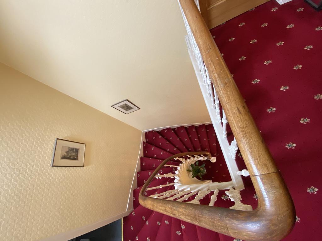 Violet Grove, 11 Maxwell Street - Williamson and H