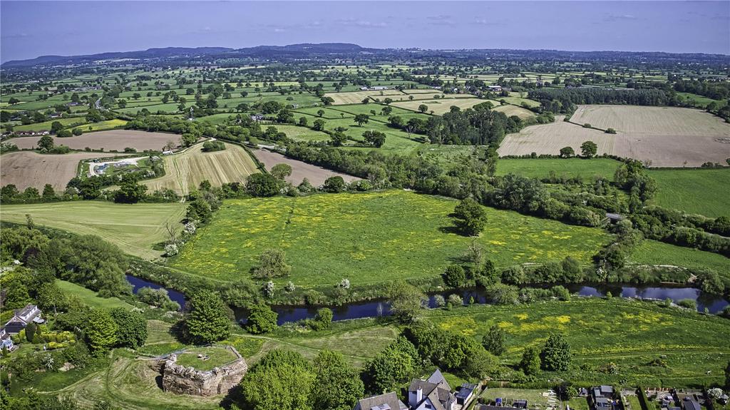 Grazing Land