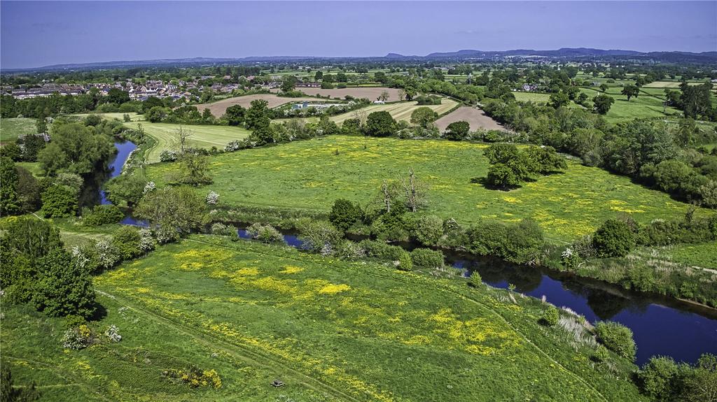 Grazing Land