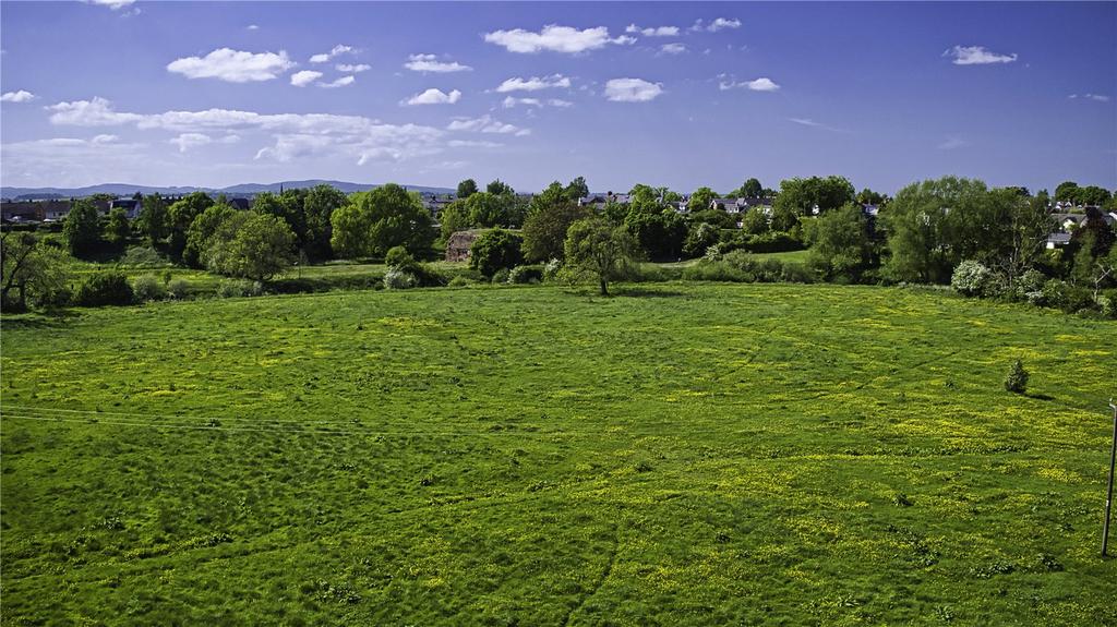 Grazing Land
