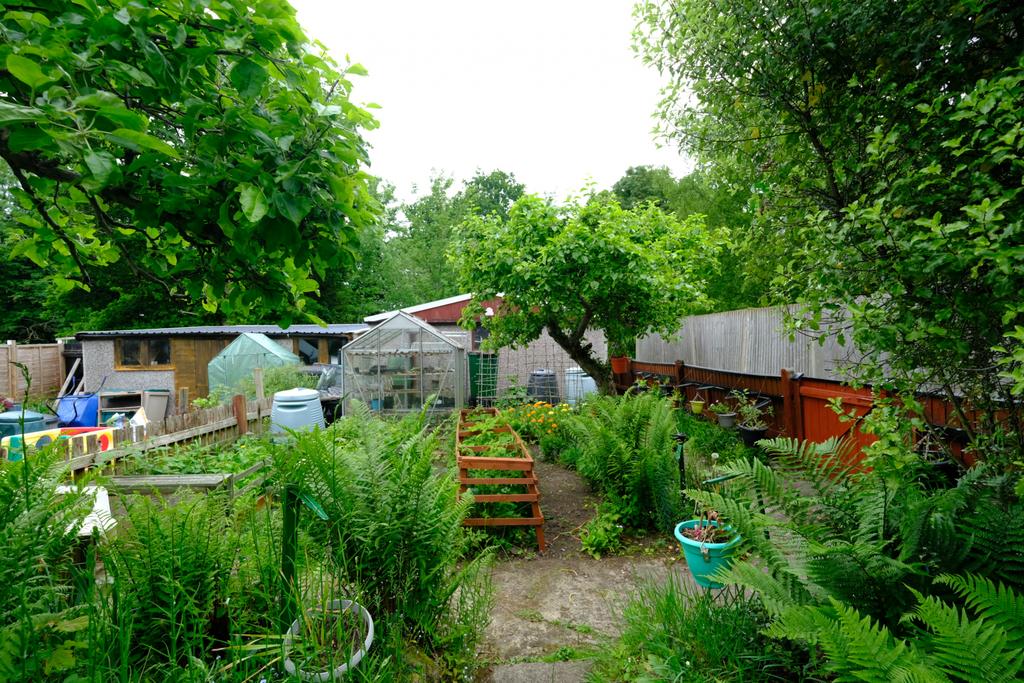 End Of Rear Garden