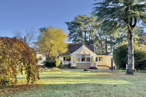 3 bedroom bungalow for sale, Cedar Avenue, St Leonards, Ringwood, BH24 2QF