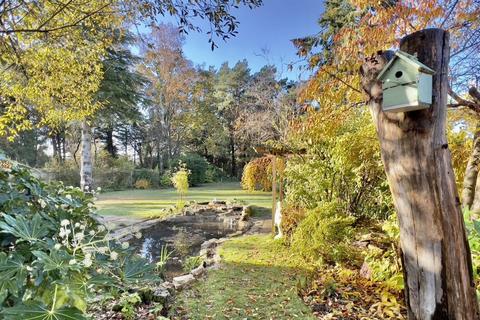 undefined, Cedar Avenue, St. Leonards, BH24 2QF