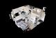 Borrowdale-Dollhouse-View.jpg