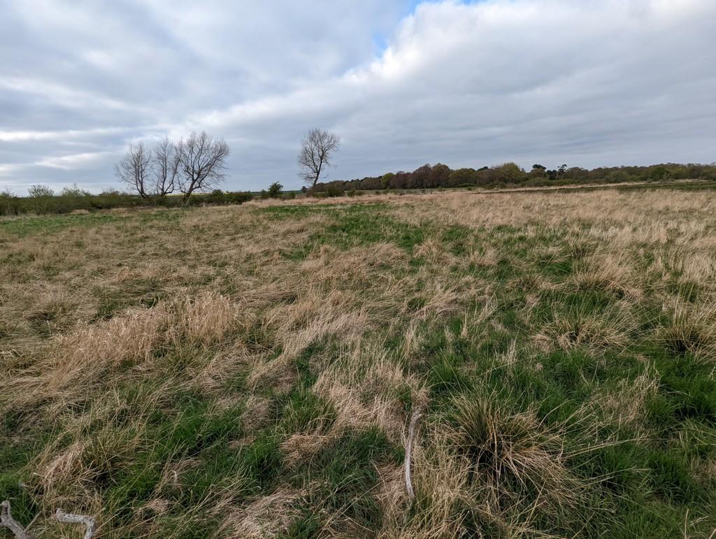 Land at Prestwick Carr, Ponteland Land £30,000