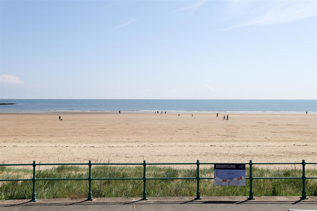 IMG 7543.jpg