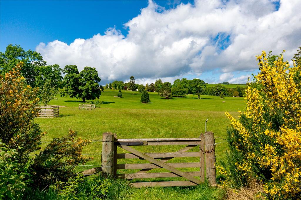 Grounds