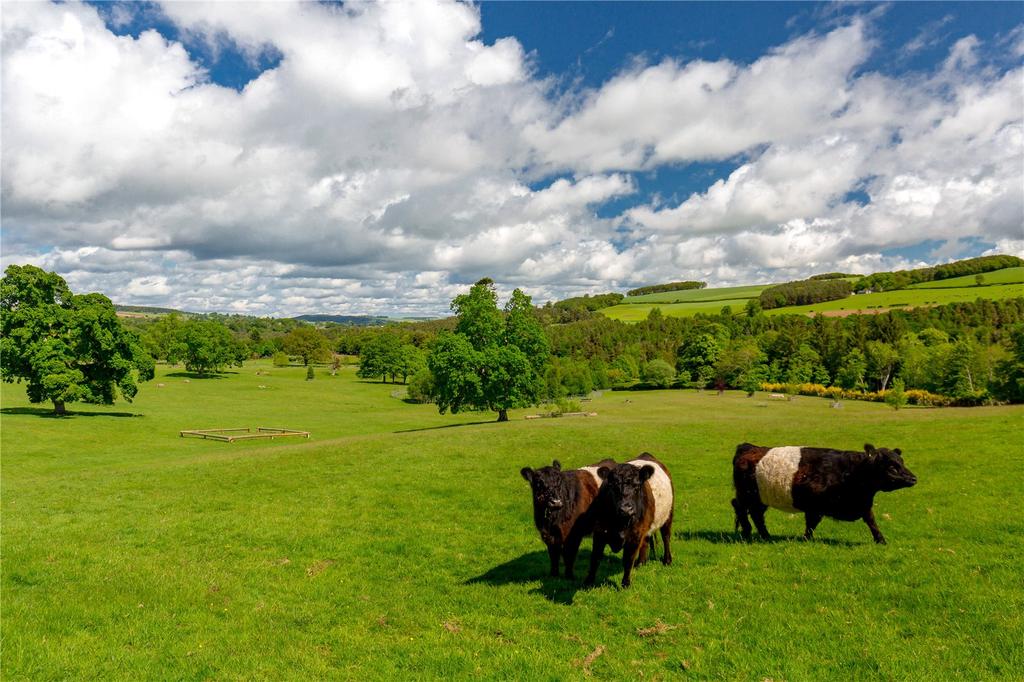 Grounds and Belted G