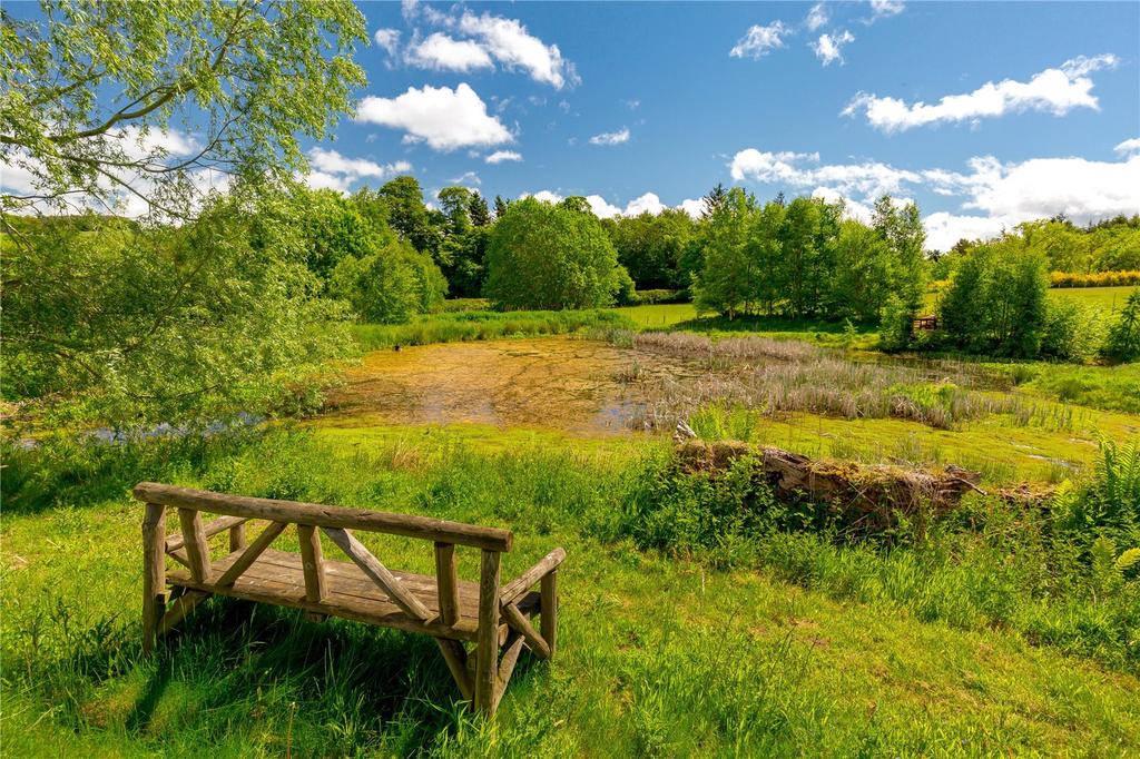 Wildlife Pond