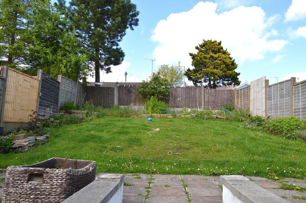 Garden.JPG