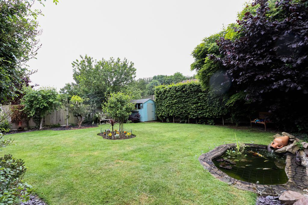 Garden at Back