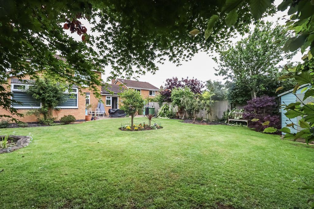 Garden at Back