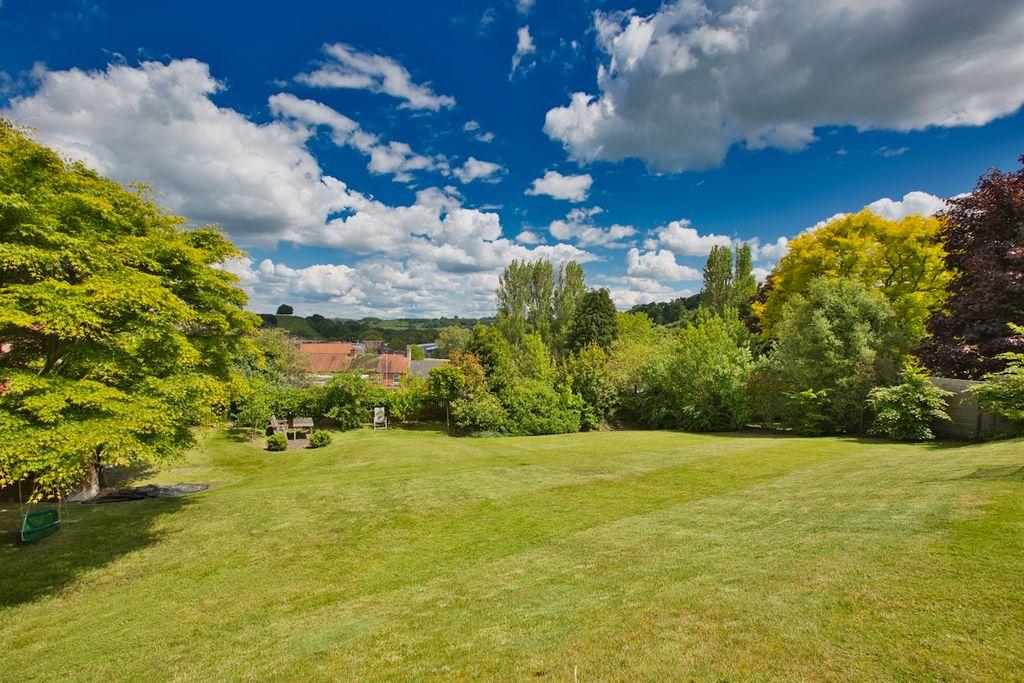 Garden at Back