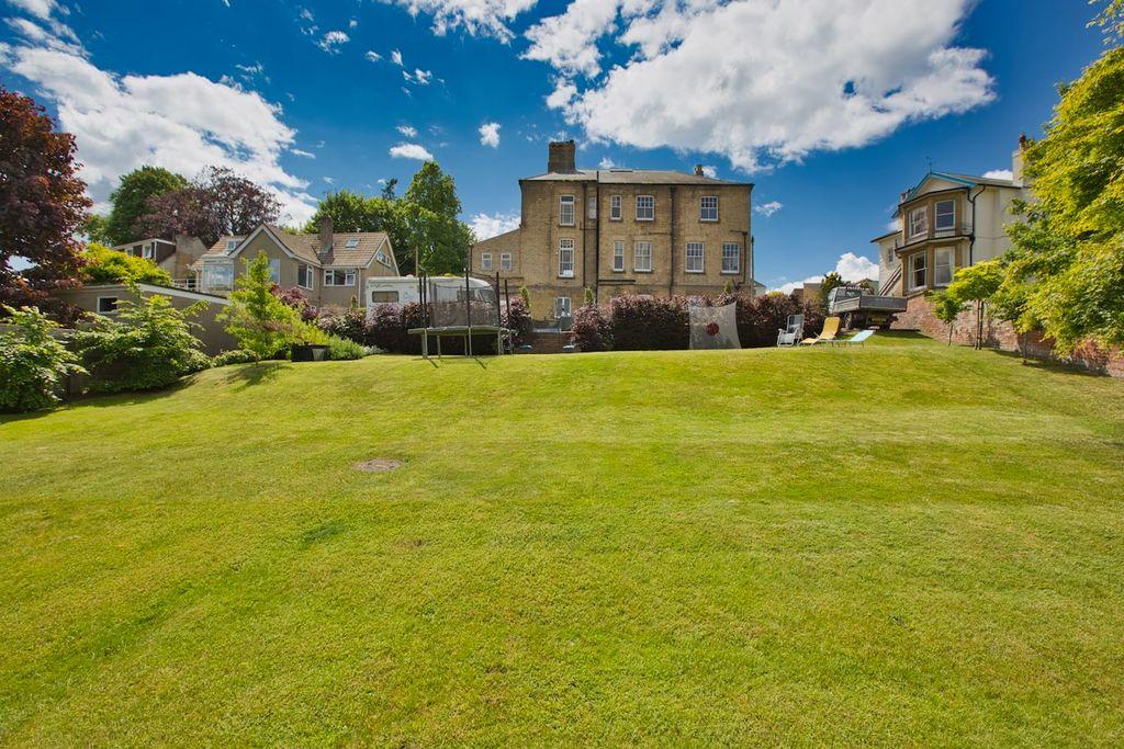 Garden at Back