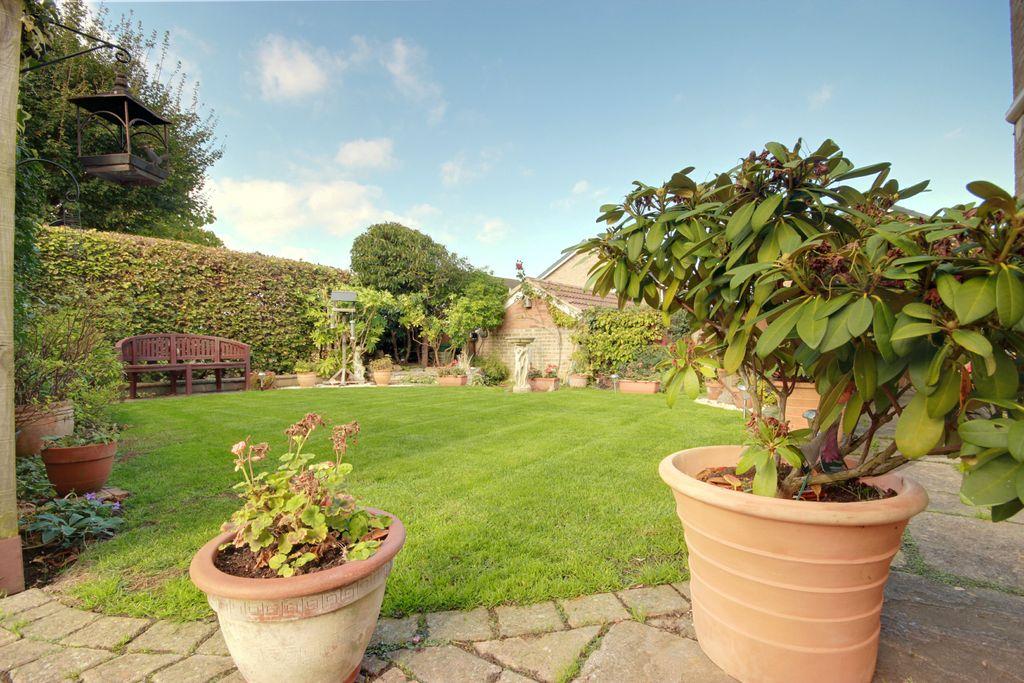 Garden at Back