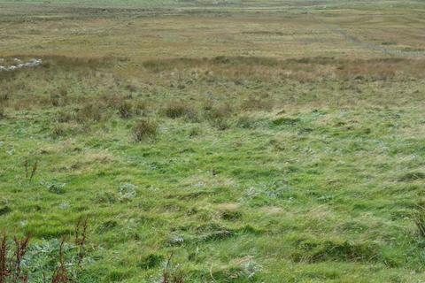 Land for sale - 8 North Shawbost, Isle Of Lewis, HS2