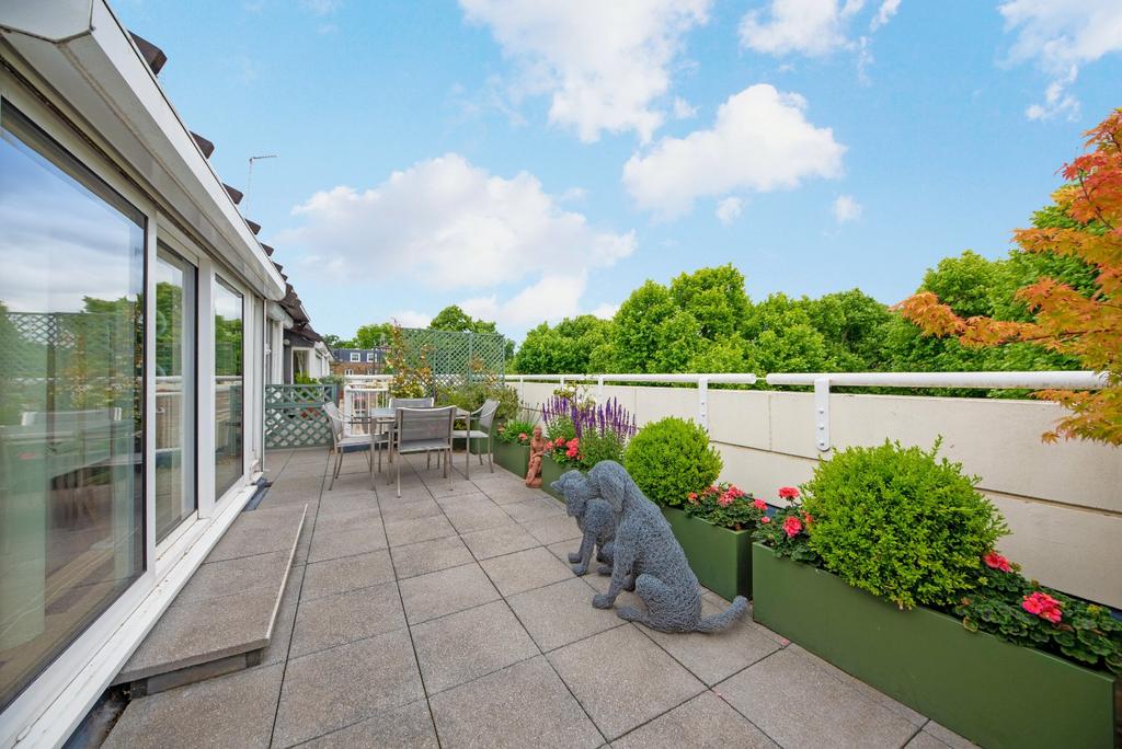 Roof Terrace