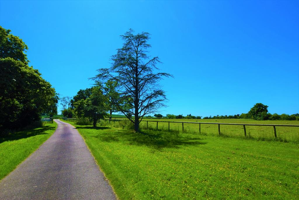 Private Driveway
