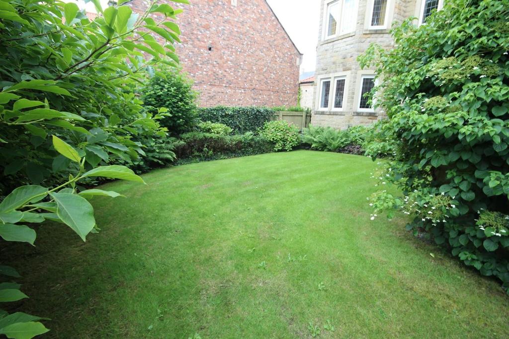 Img 8830.jpg