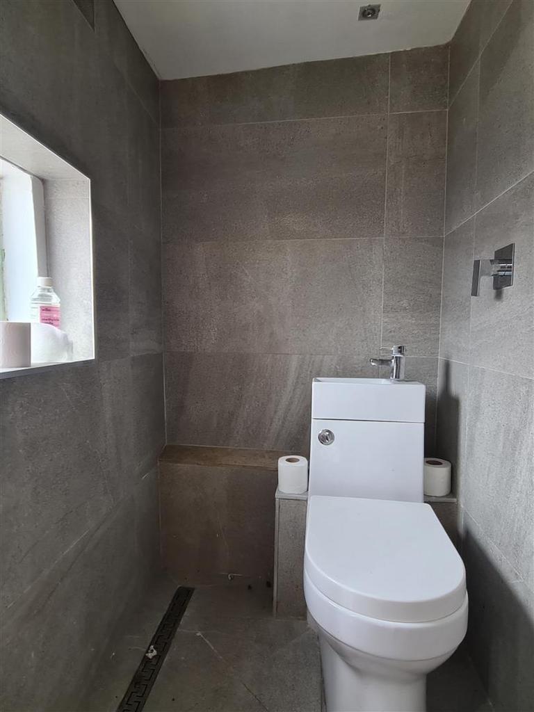 Downstairs Cloakroom/Shower Room