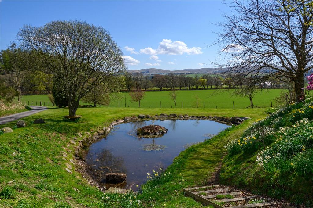 Pond