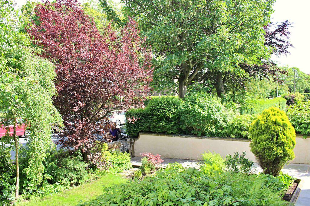Garden at Front