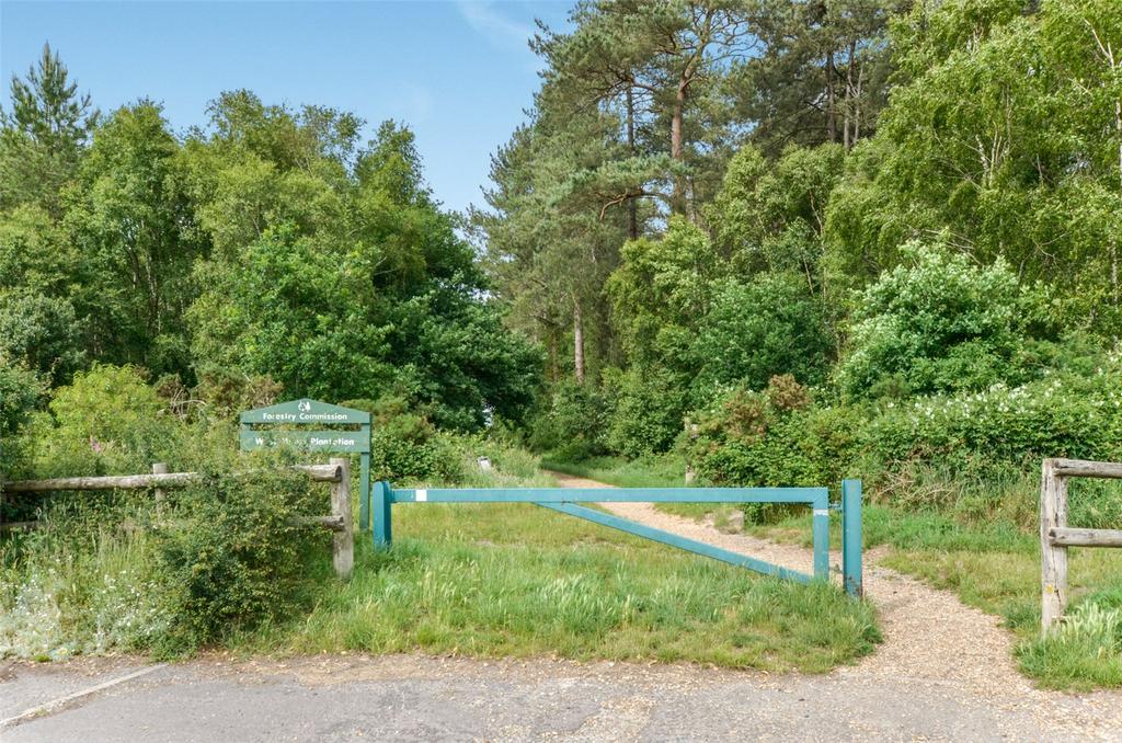 Nearby Forestry