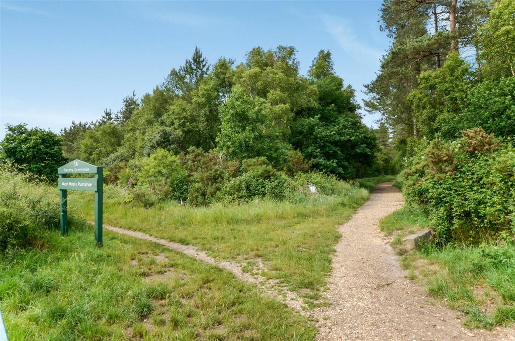 Nearby Forestry