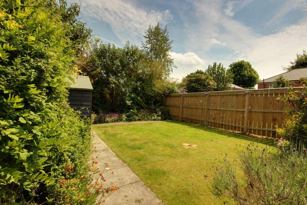 Garden at Back