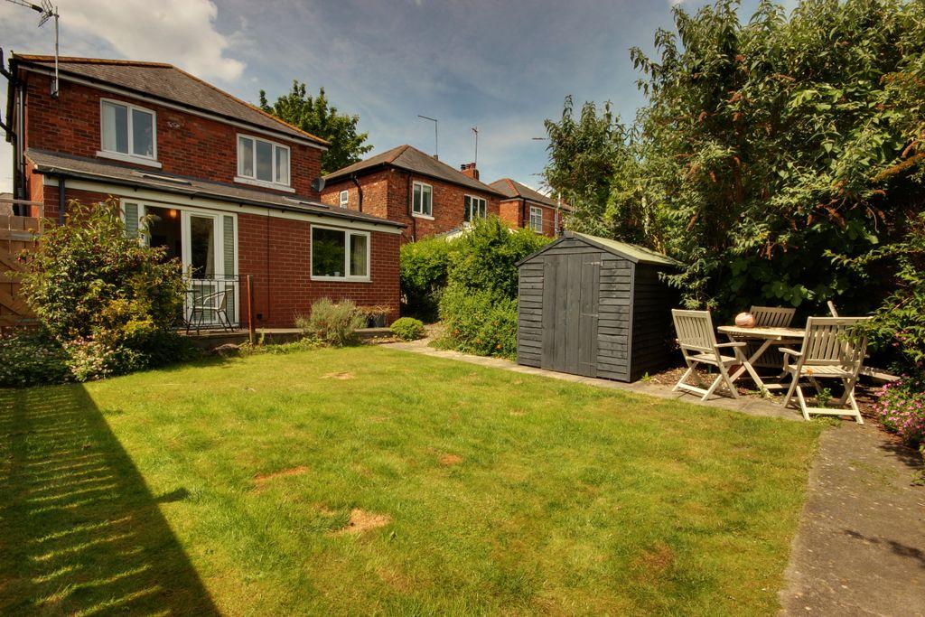 Garden at Back