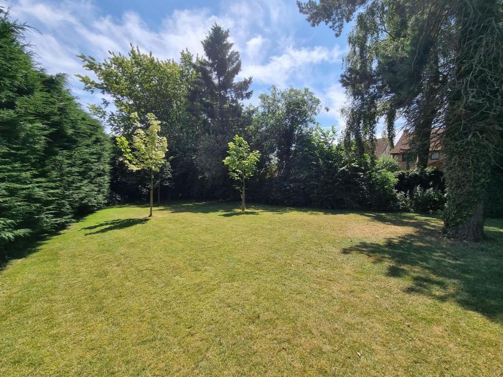 Rear garden