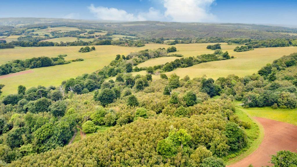 Kitchenham Road, Ashburnham, Battle... Farm land