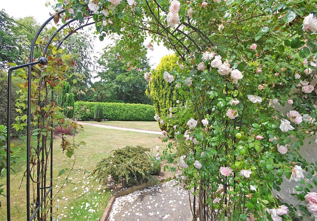 Flowers Into Front.jpg