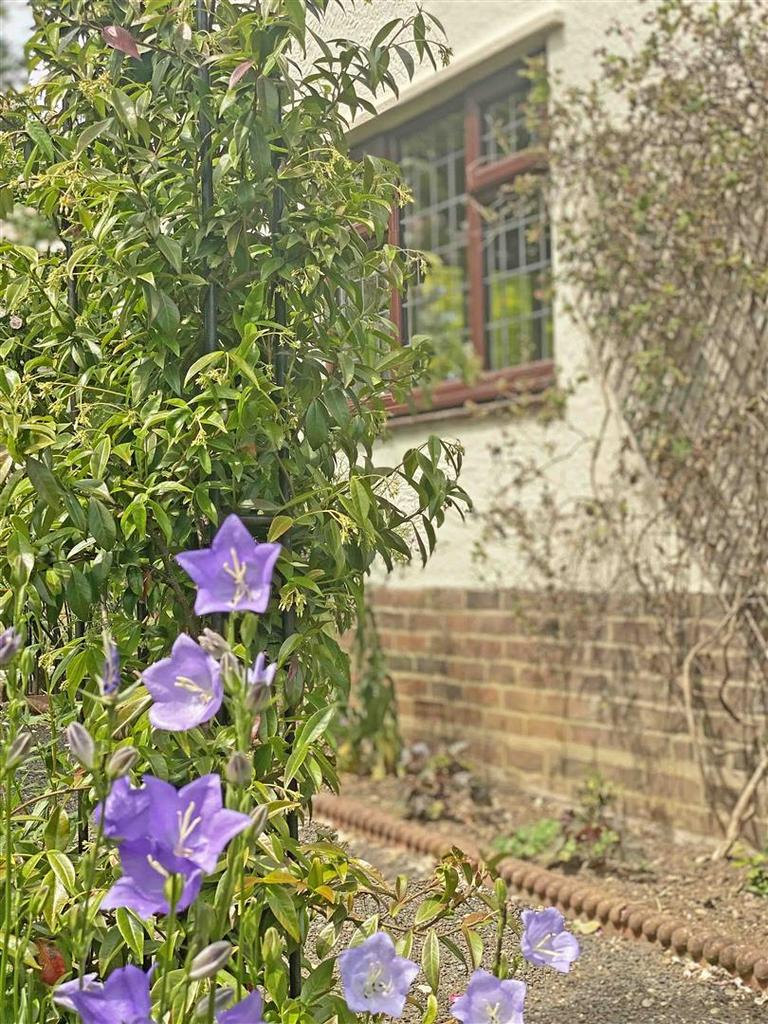Flowers.jpg