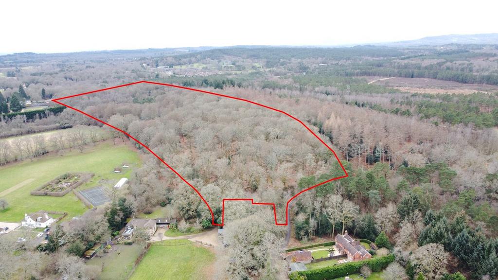 Holm Hills Woodland, Conford, Liphook, East Hampshire, GU30 Land for sale £125,000